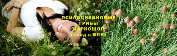 a pvp Алексин